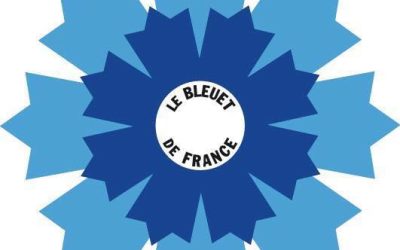 Le Bleuet de France, notre fleur du souvenir à porter toute l’année en signe de mémoire et de solidarité