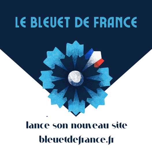 Le Bleuet de France vient de lancer son nouveau site