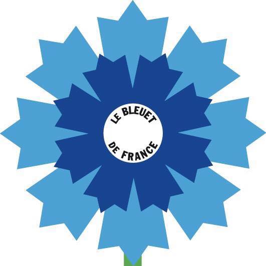 Le Bleuet de France, notre fleur du souvenir à porter toute l’année en signe de mémoire et de solidarité